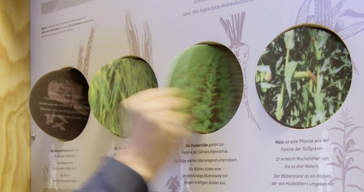 Vorschaubild Interaktive Wanderausstellung . Erfolgreich für Mensch und Natur