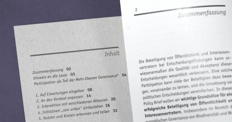 Vorschaubild Policy Brief . GoverNat