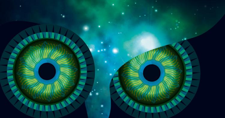 Vorschaubild Kampagne . Lange Nacht der Wissenschaften Halle